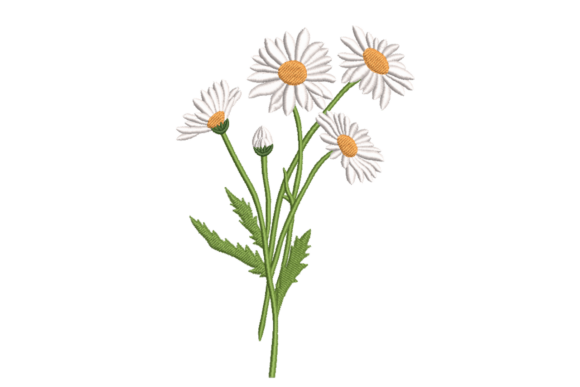 Wild Daisy Stems – Simple Floral for Embroidery Sellers